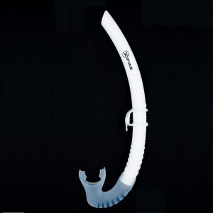 Snorkel Xifias