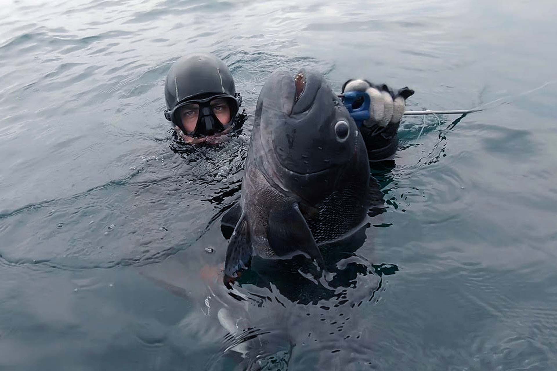 ARPONES DE PESCA - Distribuidora De Buceo