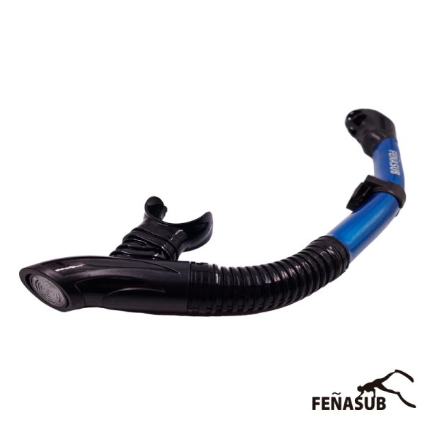 Snorkel Feñasub Arrecife - Imagen 2